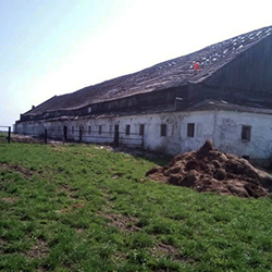 Демонтаж сельскохозяйственного сооружения, коровник площадью 750 кв.м.