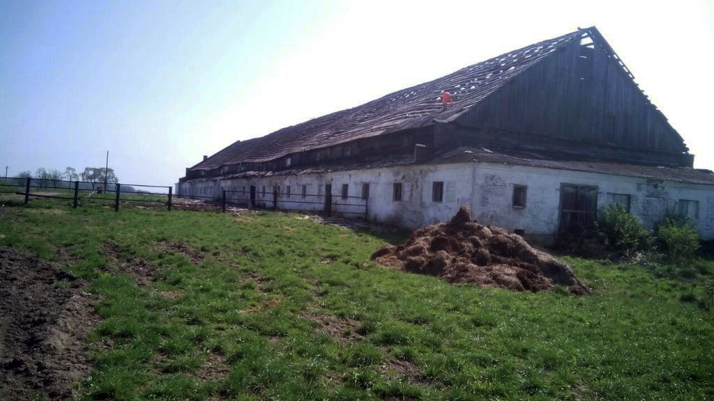 Демонтаж сельскохозяйственного сооружения, коровник площадью 750 кв.м.